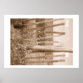 Poster duna