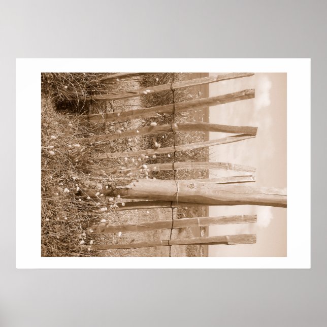 Poster duna (Frente)