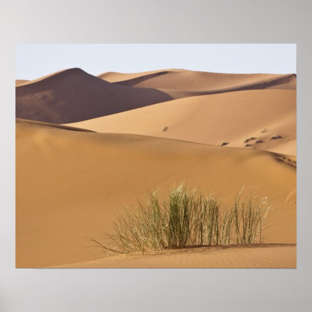 Póster Dunas de areia, deserto do Saara, Marrocos (Frente)