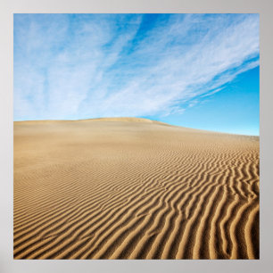 Póster Dunas de areia dos apartamentos do Mesquite