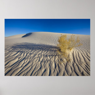 Póster Dunas de areia no Monumento Nacional White Sands e