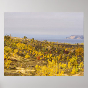 POSTER "DUNAS DE URSO DE DORMIR FLUTUADAS COM VEGETAÇÃO