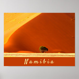 Poster Dunas vermelhas da Namíbia da foto de Sossusvlei