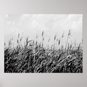 Póster Dune Triptych III