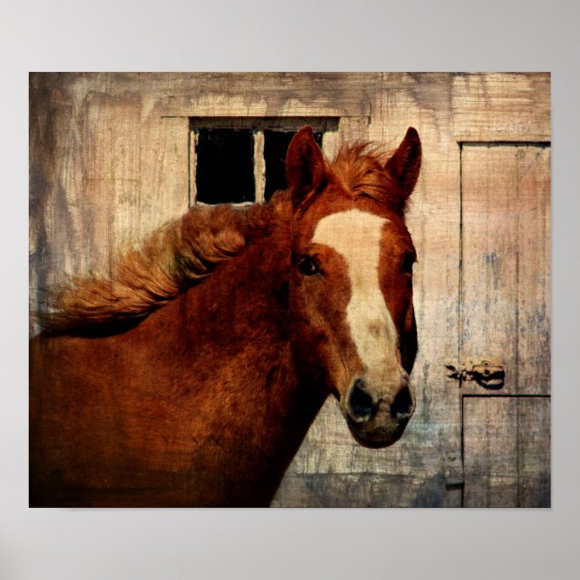 Poster Dunnit (Frente)