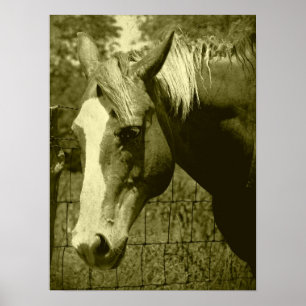 Póster Dunnit em Sepia Tint