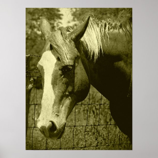 Póster Dunnit em Sepia Tint (Frente)