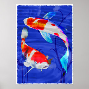 Póster Duo de Kohaku na lagoa azul profunda