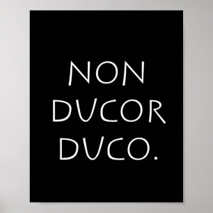 Poster Duo não-ducor