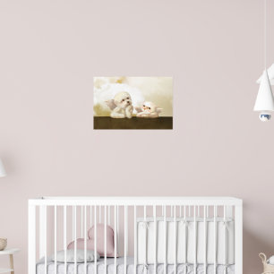 Poster Dupla Angelical: Bichon Sorridente & Nuvem Bao Bao