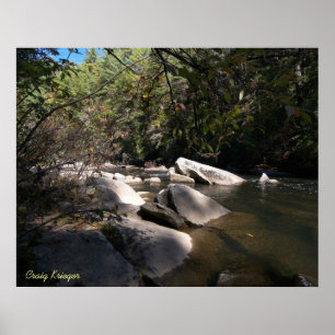 Póster Dupont River in NC
