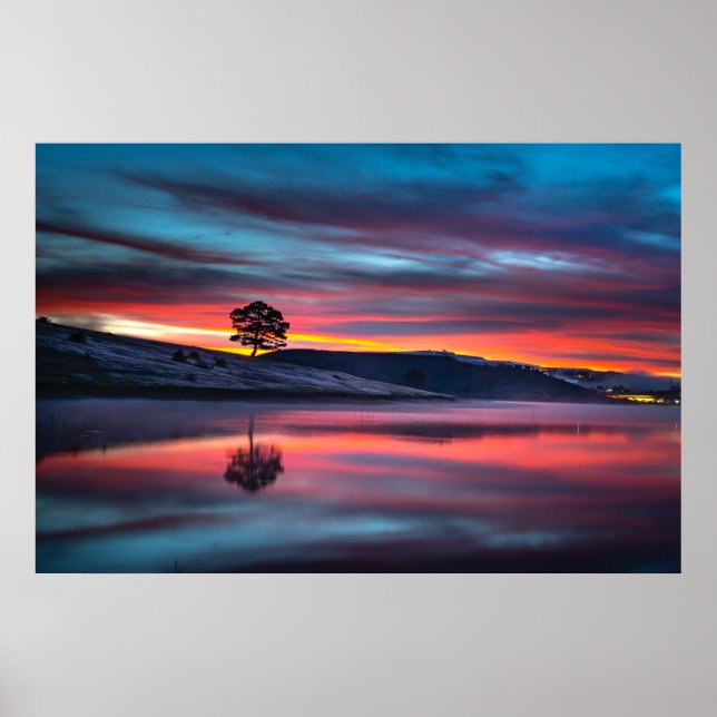 Poster Durante A Hora Do Ouro, Uma Árvore Reflete Em Um C (Frente)