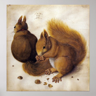 Poster Dürer - Esquilo