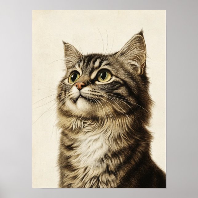 Poster Dürer's Tabby Treasures 3 (Frente)
