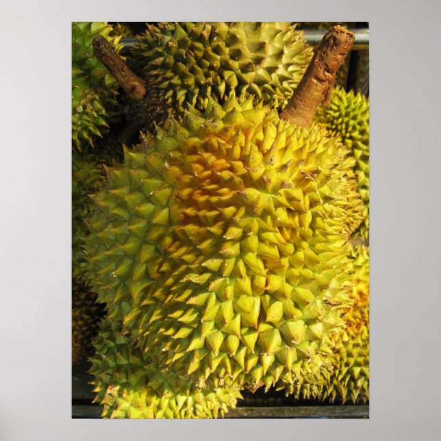 Poster Durian Fruta (Frente)