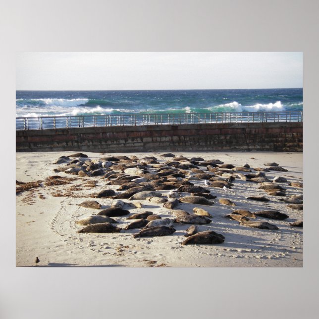 Póster Duro dia do surf (Frente)