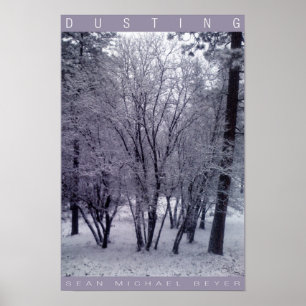 Póster Dusting