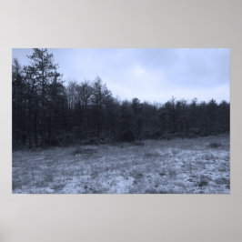 Poster Dusting of Snow at the Bog