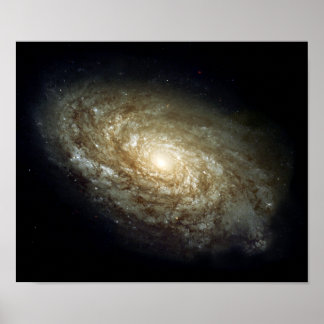 Póster Dusty Spiral Galaxy