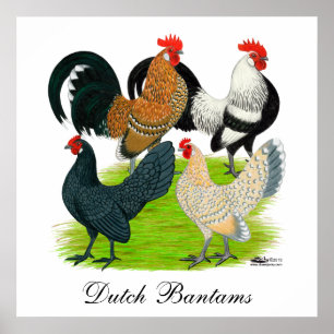 Poster Dutch Bantam Quartet