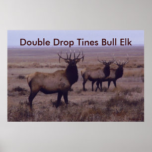 Póster E19 Alce Macho Duplo Drop Tines