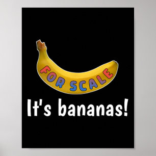 Poster É a Banana (para a escala), nave estelar Engraçada