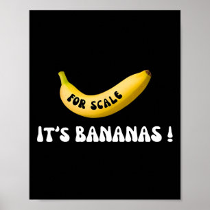 Poster É a Banana para a nave estelar Funny Trump Banana