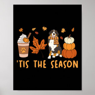 Poster É a Temporada Bernese Mountain Dog Outono Abóbora