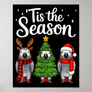 Poster É a Temporada Papagaio Africano G Natal Papai Noel
