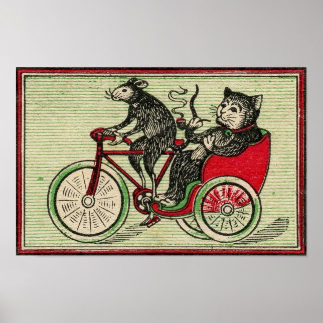 Poster É bom ser o gato (Frente)