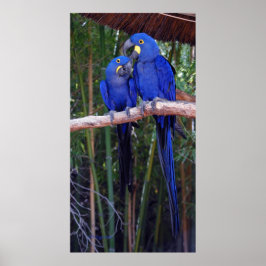 Póster E Então Eu Disse