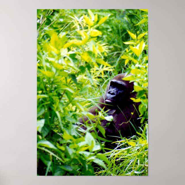 Poster É estranho ser um macaco grande. (Frente)