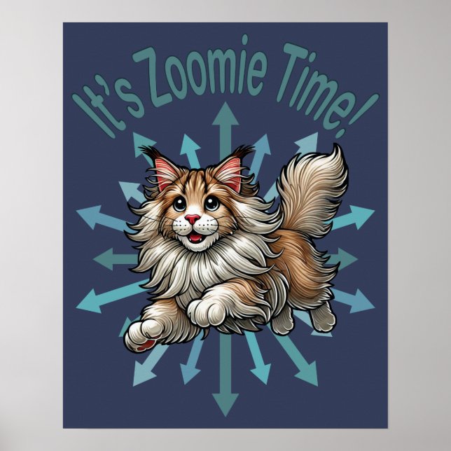 Poster É hora do Zoomie Maine Coon Cat (Frente)