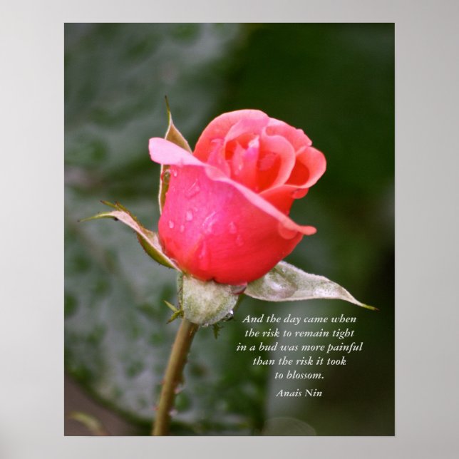 Poster E o dia chegou.... (Frente)