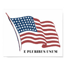 E Pluga Bandeira Patriótica Unum Estados Unidos