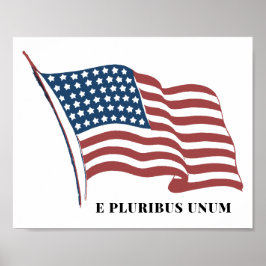 Poster E Pluga Bandeira Patriótica Unum Estados Unidos