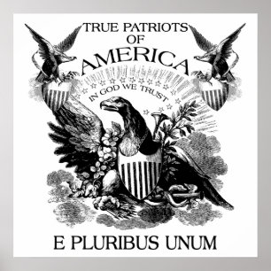 Póster E Pluribus Unum