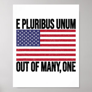 Poster E Pluribus Unum Bandeira Dos EUA Para Mulheres Hom