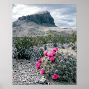 Póster E.U.A., Texas, Parque Nacional Big Bend. Florindo