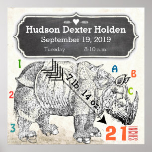 Poster É um menino! Rinoceronte-Bebê Novo