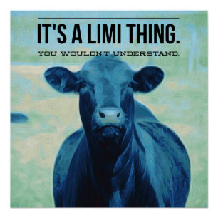 Póster É uma coisa que de Limousin você não compreende