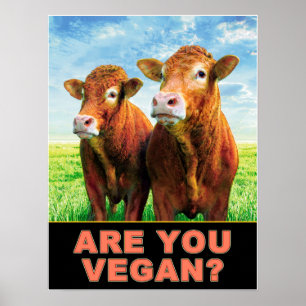 PÓSTER É VOCÊ VEGAN?