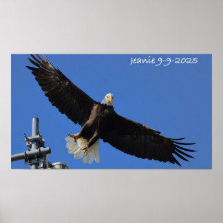 Poster Eagle