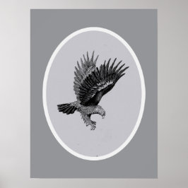 Poster Eagle by Light   
