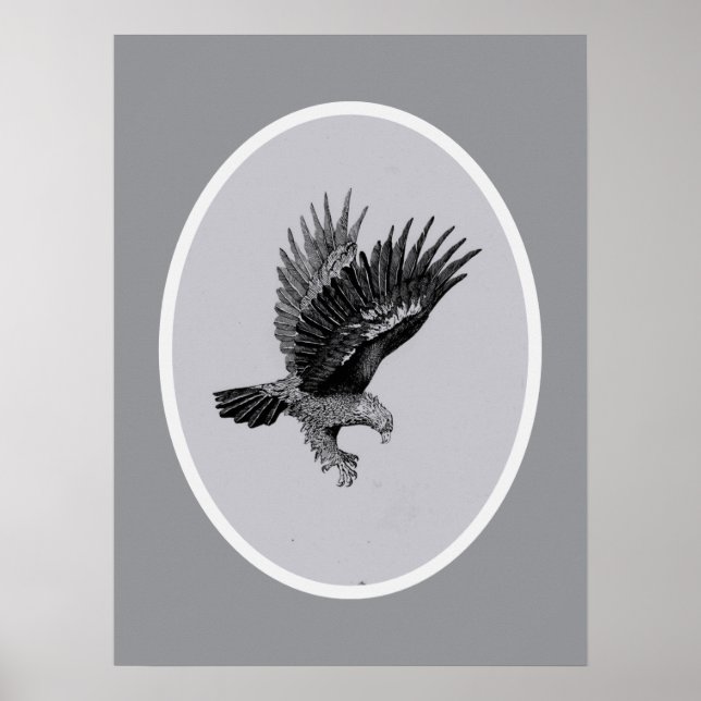 Poster Eagle by Light    (Frente)
