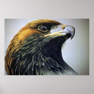 Poster Eagle dourado