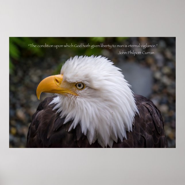 Poster Eagle Eternal Vigilance Liberty Cote (Frente)