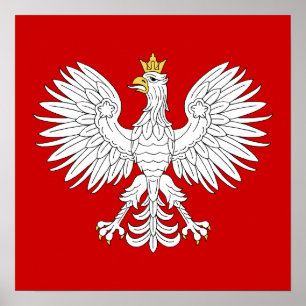 Póster Eagle polonês