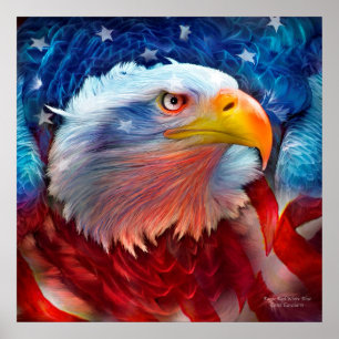 Póster Eagle - poster/impressão azuis brancos vermelhos