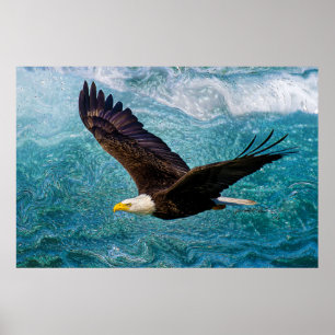 Poster Eagle Sofrendo acima da tempestade